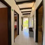 Solara *
